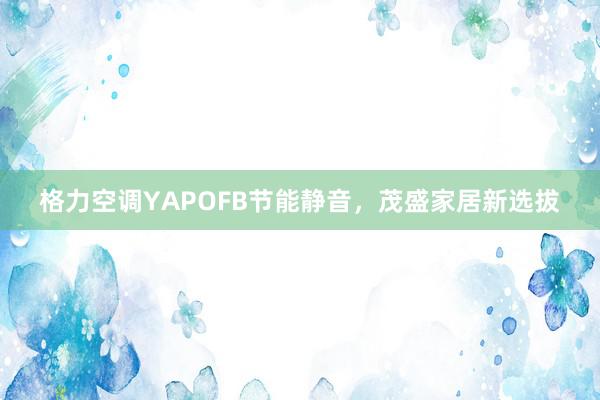 格力空调YAPOFB节能静音，茂盛家居新选拔